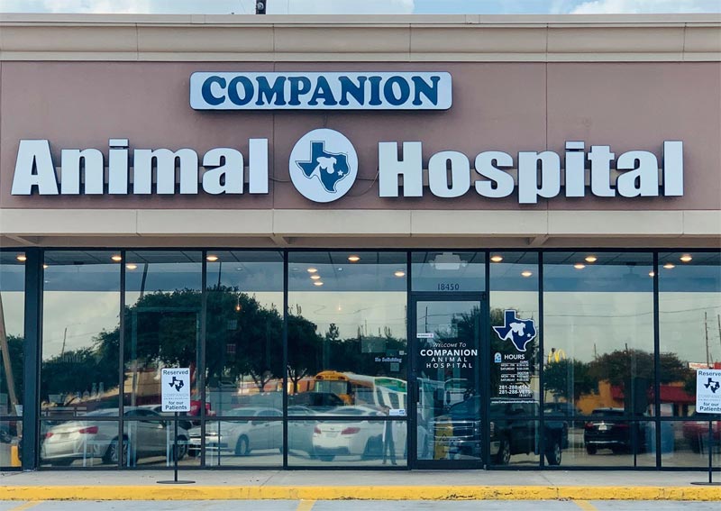 Carousel Slide 1: Companion Animal Hospital